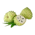Custard Apple